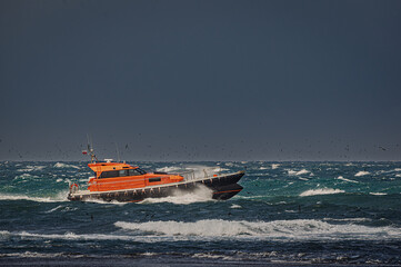Obraz premium Pilot Boat Surrounded By Birds On Very Rough Seas