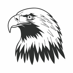 Eagle Head Mascot Design