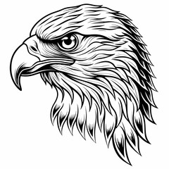 Eagle Head Vector Art