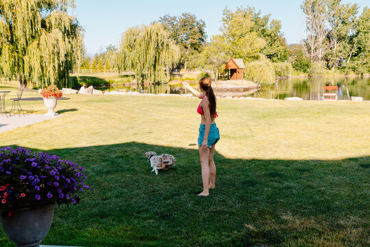 Young woman playing frisbee with dog by lake