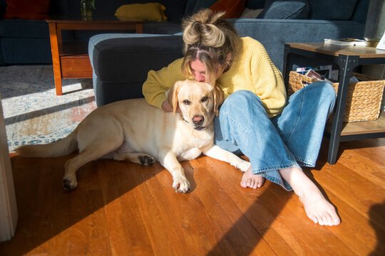 A  cuddle from a Labador