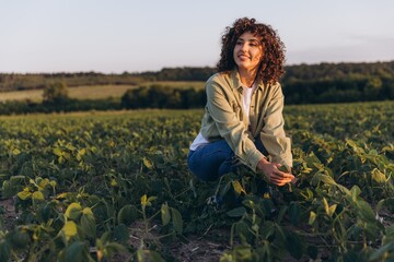 Young agronomist woman checking crops of soybeans in field at sunset