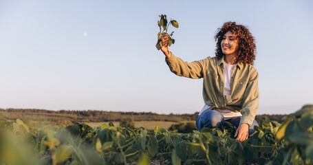 Young agronomist woman holding soybean plant in cultivated field
