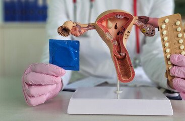A healthcare professional presents anatomical models of female reproductive organs and...