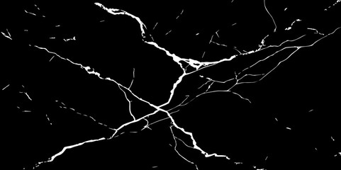 A high-contrast, black and white image showcasing intricate, shattered white lines resembling cracked ice or veins against a deep, solid black background. The lines crisscross and branch out, 