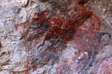 Rock carvings- Petroglyph -in the Sierra de San Francisco, Baja California Sur, Mexico