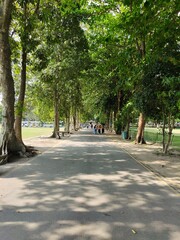 A nighttime aerial view of a bustling city landscape with illuminated buildings, trees, and streetlights, showcasing urban development and activity after dark.