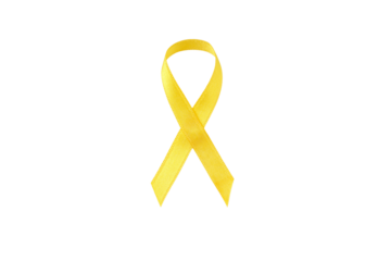 Symbol of solidarity for key issues, isolated on white, PNG