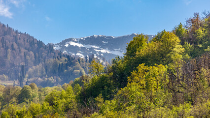 Naklejka premium A mountain range with snow on the top and trees in the foreground