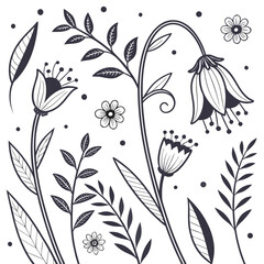 Botanical illustration with flowers and leaves