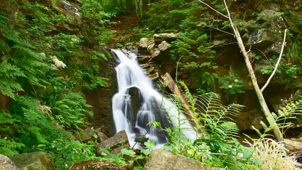 river Wisla near source and its waterfalls Rodla,Poland