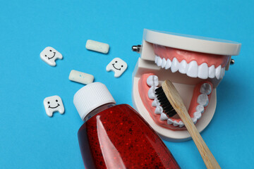 jaw model, toothbrush, dental care tools on blue background