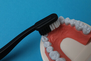 jaw model, toothbrush, dental care tools on blue background
