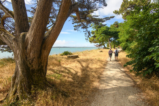 couple sur un chemin de randonnée au bord de la mer sur l'ile d'oléron en France
