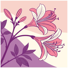Vector art of two beautiful pink and white lilies with purple accents and buds set against a soft pastel background