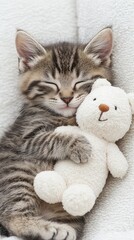 A cute kitten peacefully cuddling a soft teddy bear.