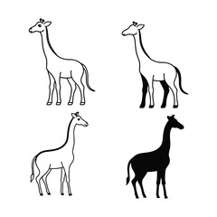 Obraz premium Vector art of four giraffes two outlines and two silhouettes isolated on white background