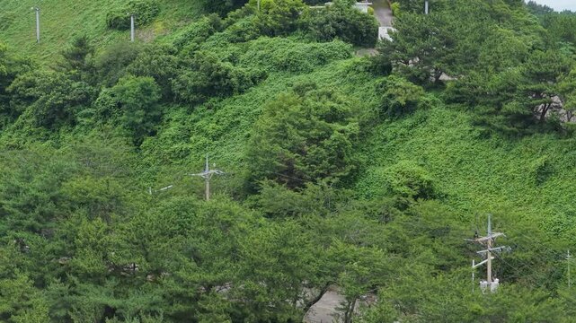 황령산