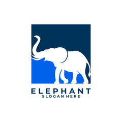 Elephant logo design vector template