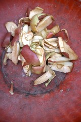 Apple peel in red dirty compost bin