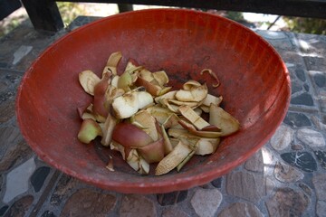 Apple peel in red dirty compost bin