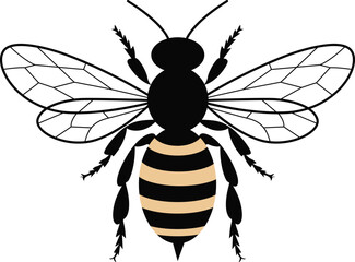 bee vector illustration