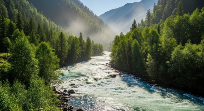 Turquoise Rapids Surge Through a Sun-Kissed, Misty Mountain Forest Gorge