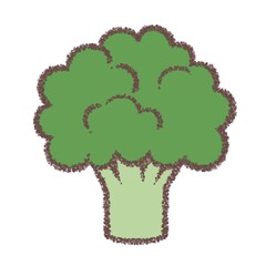 ブロッコリー
