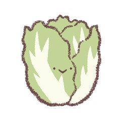 ハクサイ-顔付き