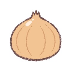 タマネギ