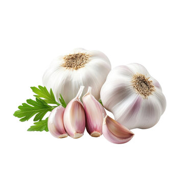 Fresh garlic isolated on a white background. PNG