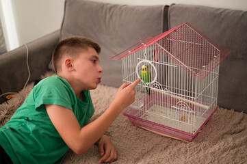 Boy interacts with a small bird in its cage, lying on a comfy rug.