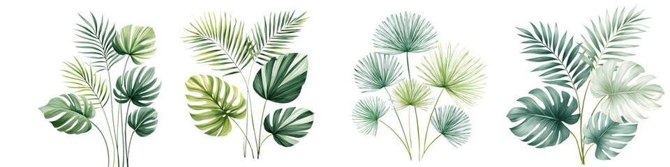 Watercolor Tropical Foliage Set: Exotic Green Leaves on White Background