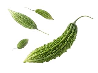 Bitter gourd is unique vegetable known for its distinct flavor and health benefits, often used in various cuisines