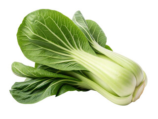 Fresh bok choy is vibrant green vegetable known for its crisp texture and nutritional benefits, perfect for salads and stir fries