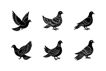 Fototapeta premium silhouette of a dove clear art vector