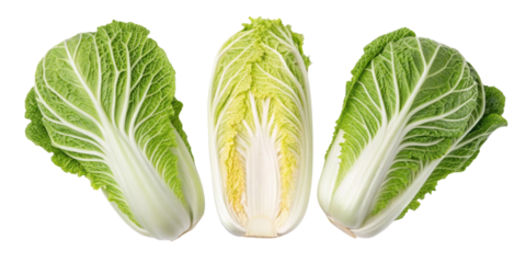 Fresh and vibrant Chinese cabbage showcases its crisp leaves and rich green color, perfect for salads and stir fries