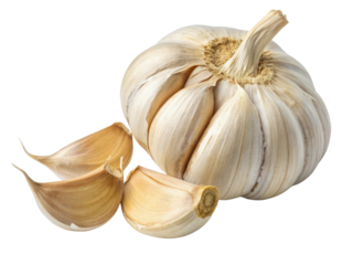 Fresh garlic bulb with cloves showcases its natural beauty and health benefits, perfect for cooking and enhancing flavors