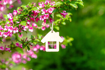 The symbol of the house among the branches of the pink weigela
