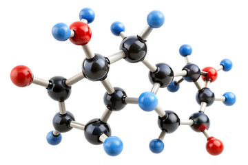 3 D molecular model with black carbon atoms red oxygen atoms and blue hydrogen atoms connected by white sticks isolated on a transparent background
