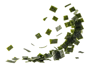 Crisp nori sheets scatter gracefully, showcasing their vibrant green color and unique texture, perfect for culinary creations