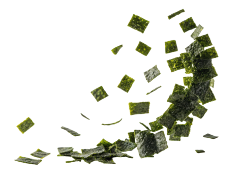 Crisp nori sheets scatter gracefully, showcasing their vibrant green color and unique texture, perfect for culinary creations