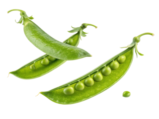 Fresh snow peas are vibrant green and perfect for adding crisp texture to dishes while providing delightful taste