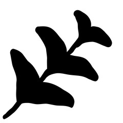 leaf black hand drawn icon
