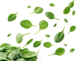 Fototapeta premium Fresh spinach leaves are falling gracefully, showcasing their vibrant green color and healthy appeal, perfect for salads and cooking