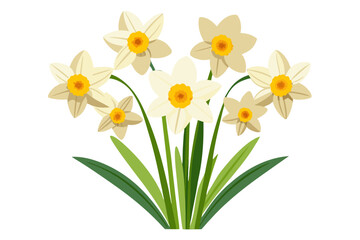 Beautiful daffodil flower bouquet illustration for spring floral design and decoration ideas