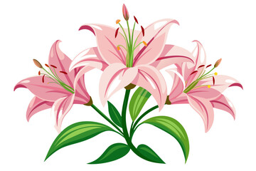 Beautiful pink lily flower arrangement vector illustration floral design element clip art stock image for graphics