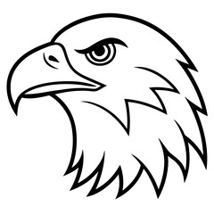 Fototapeta premium Eagle Head