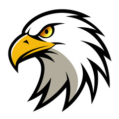 Fototapeta premium Eagle Head