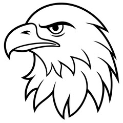 Fototapeta premium Eagle Head